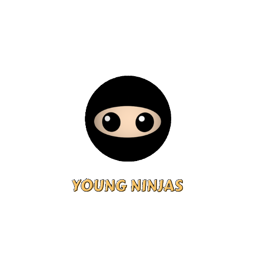 gogokids-young-ninjas